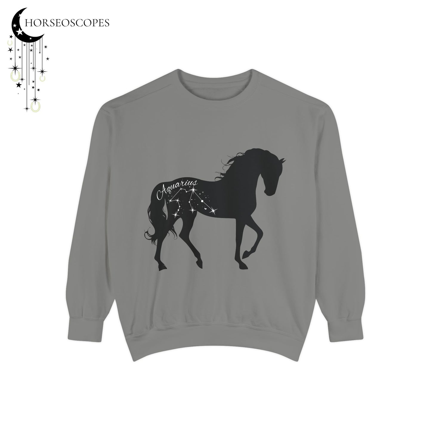 Aquarius Equestrian Sweatshirt