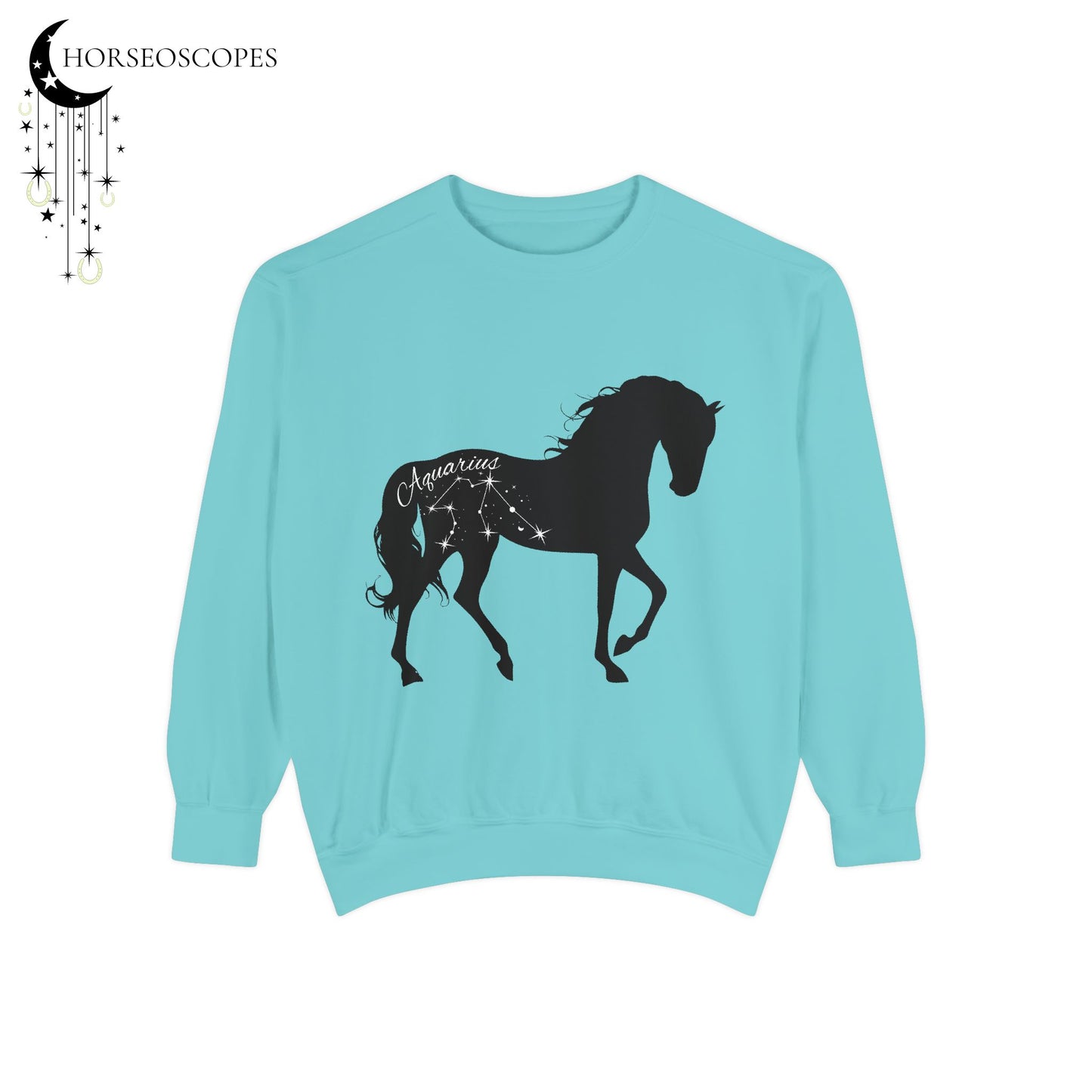 Aquarius Equestrian Sweatshirt